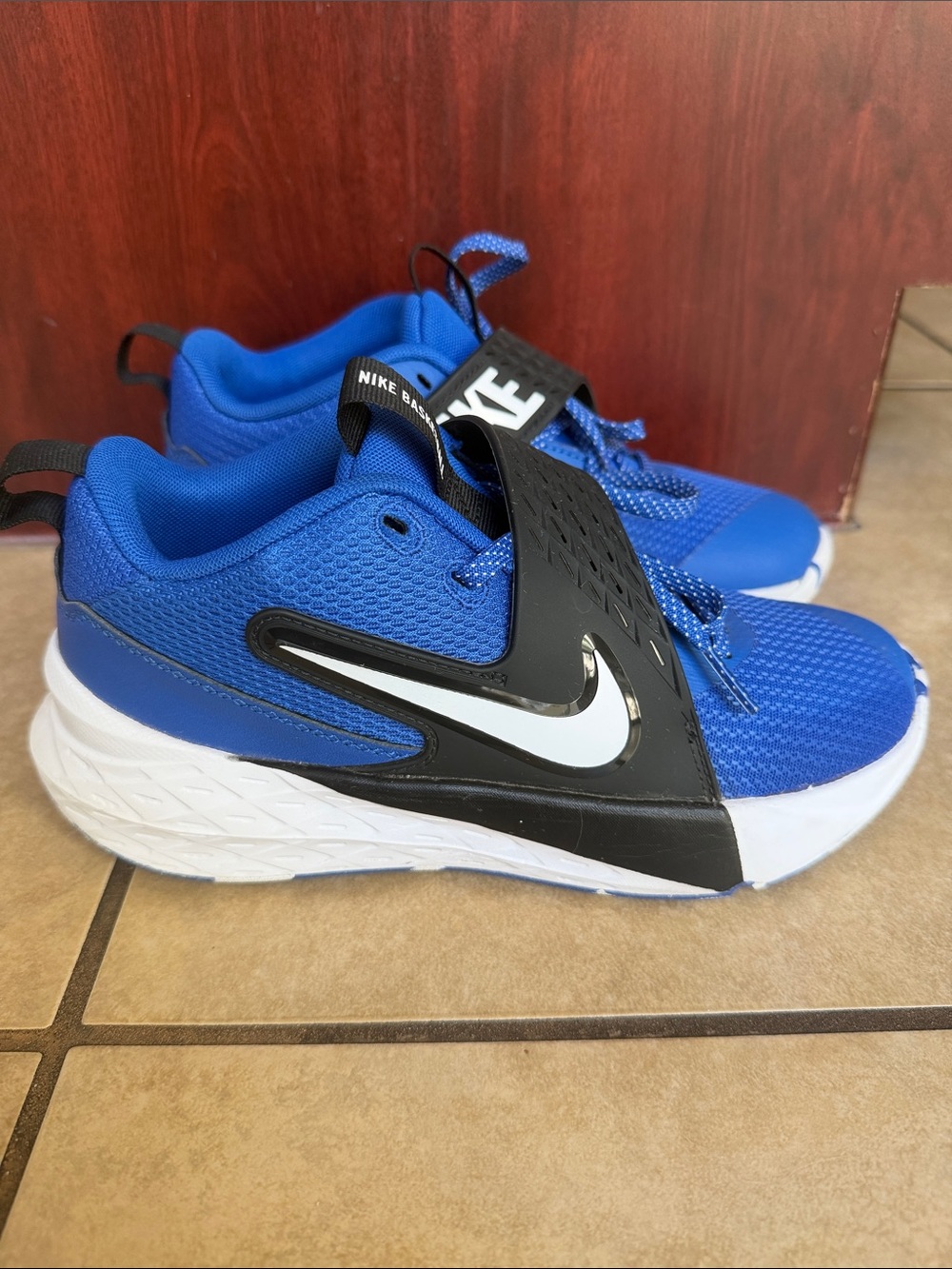 Nike Kids Team Hustle D12 basketball sneakers